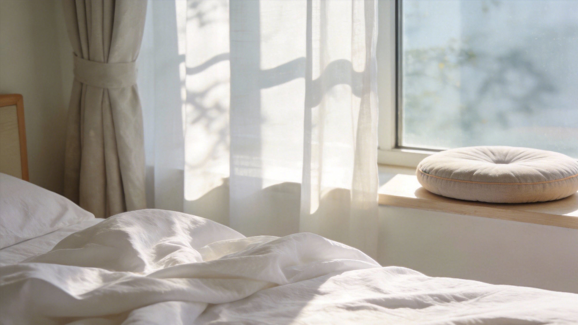 The "Reset" Button: Managing Modern Stress through Sensory Focus